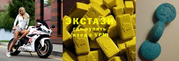 индика Снежногорск