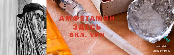 индика Снежногорск