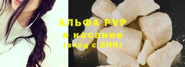 индика Снежногорск