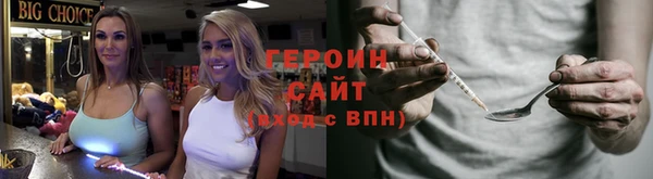 индика Снежногорск