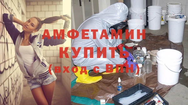 индика Снежногорск