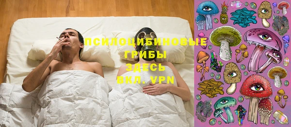 индика Снежногорск