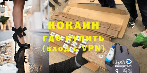 индика Снежногорск