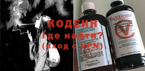 индика Снежногорск