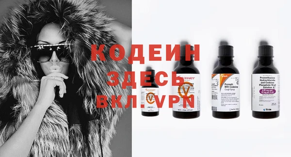 индика Снежногорск