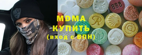 индика Снежногорск