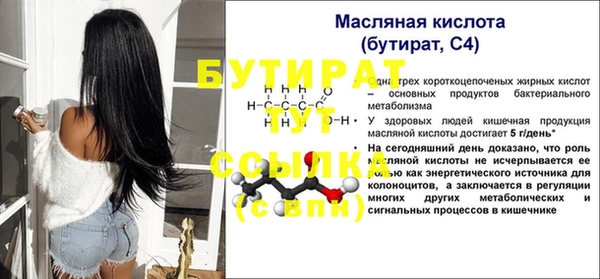 индика Снежногорск