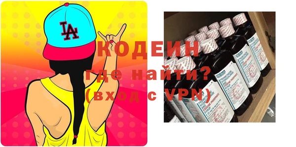 индика Снежногорск