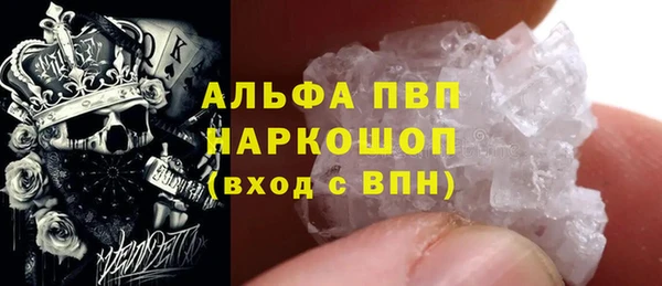 индика Снежногорск