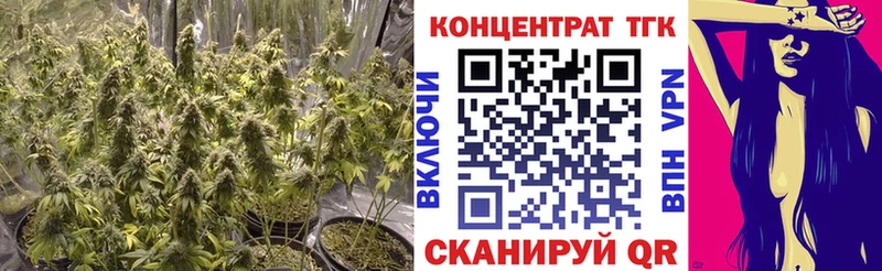 Купить где  Ардон  ТГК THC oil 