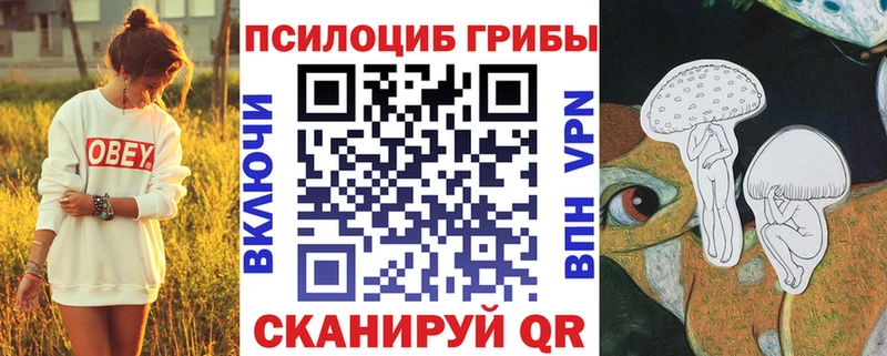 Купить  Ардон  Псилоцибиновые грибы ЛСД 